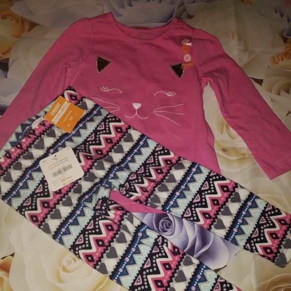 Gymboree Other - Nwt Gymboree Top Leggings 2 2t New